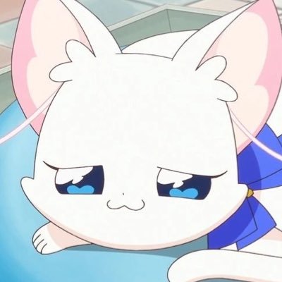 大中クッパれんか